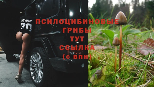 a pvp Армянск