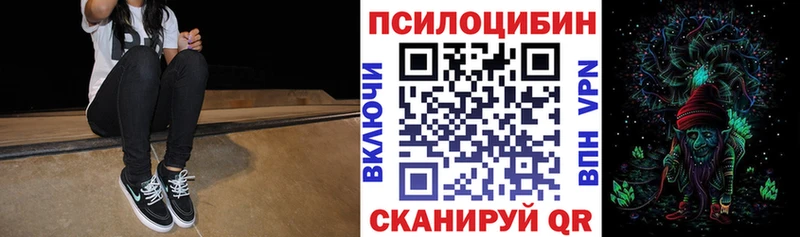 Галлюциногенные грибы Psilocybine cubensis  Саров 